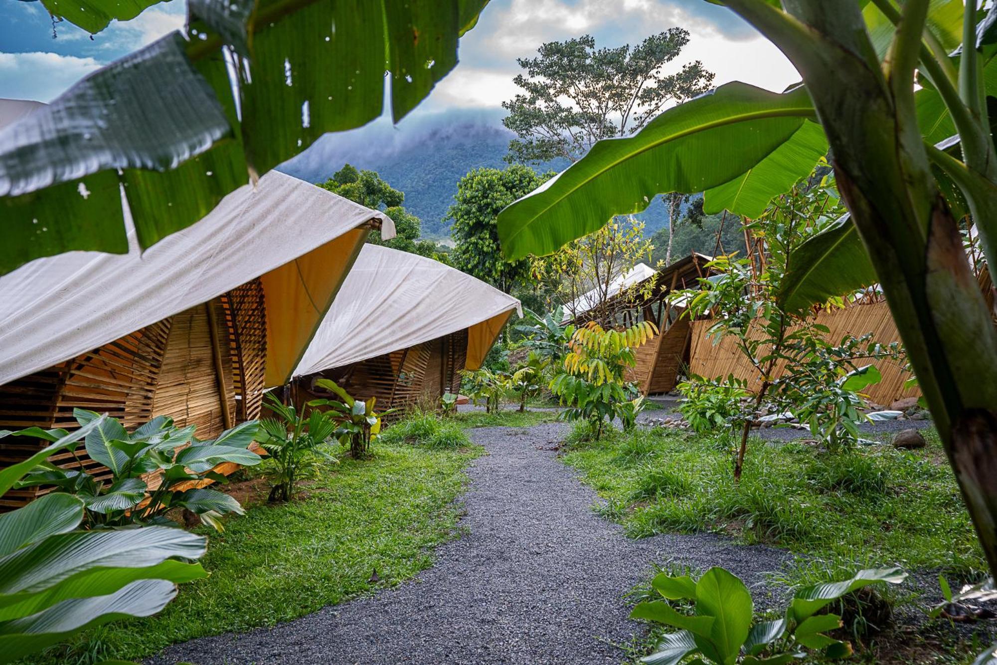 Jungle Gayborhood Hotel And Retreat Center San Luis  Exterior photo